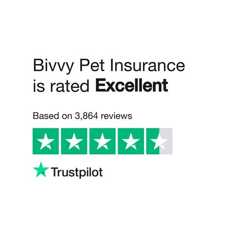Bivvy Pet Insurance Reviews | Read Customer Service Reviews of bivvy.com