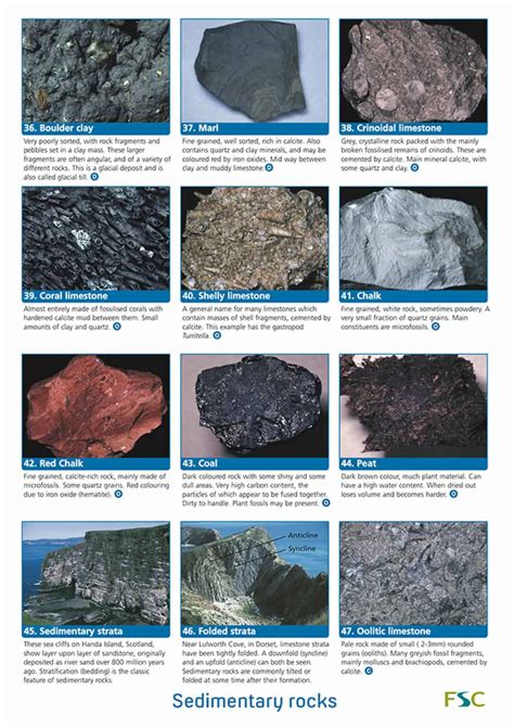 Image result for Examples of Rocks