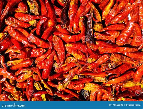 Red Dried Pepper in Pods. Dry Chili Peppers, Closeup. Dried Red Pepper ...