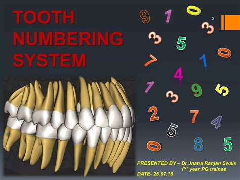 Image result for Tooth Numbering System