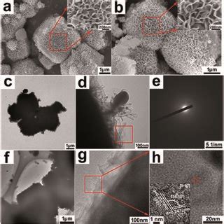 Image result for Sem Structure