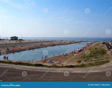 Busy Beach Scene 的图像结果