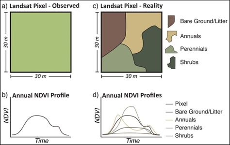 Rangeland Productivity Partitioned to Sub-Pixel Plant Functional Types