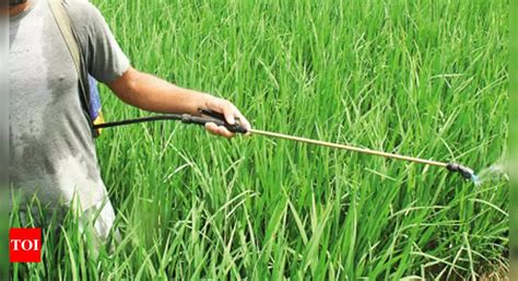 Punjab bans use of 10 insecticides for 2 months | Amritsar News - Times ...