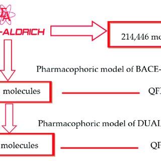 Image result for Parallel Screening