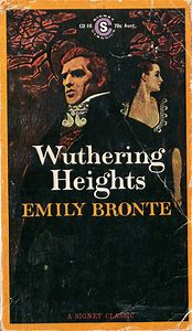 Wuthering heights emily bronte literary analysis