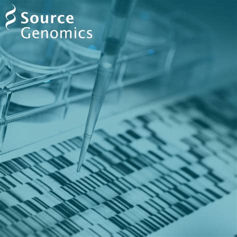 Next-Gen Sequencing Explained 的图像结果