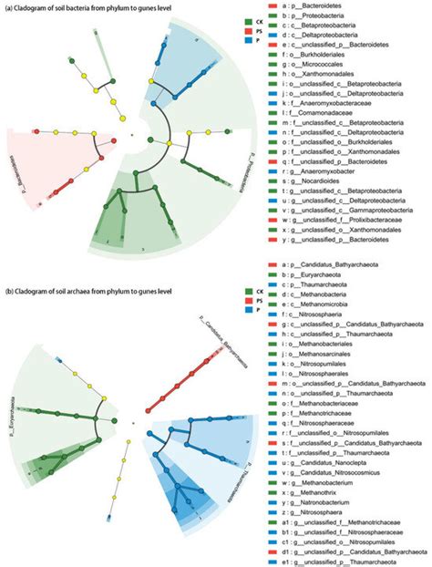 The Inhibiting Effects of High-Dose Biochar Application on Soil ...