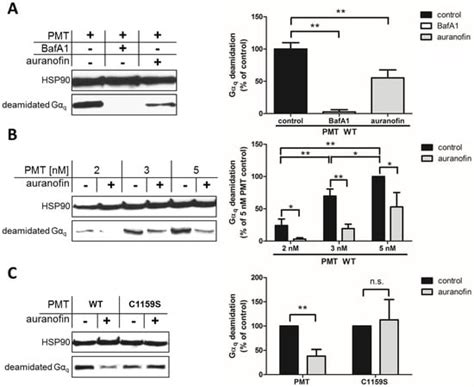 Toxins | Special Issue : Pasteurella multocida and Its Virulence Factors