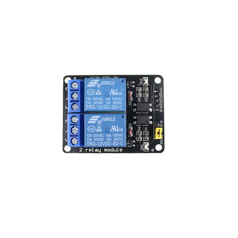 Probots 12V 2 Channel Relay Module with Optocoupler Buy Online Buy ...