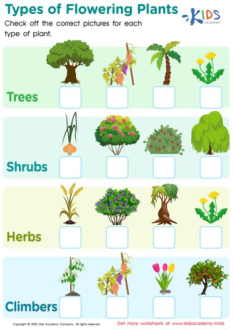 Image result for Plant Lesson First Grade