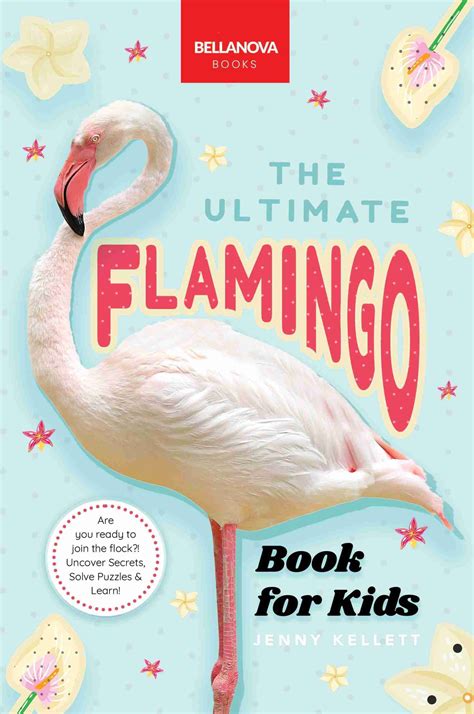 Image result for Flamingo 12 Book Design