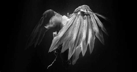 Nevertheless — Teletype