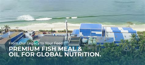 Indian Fish Meal, Indian Fish Oil, Indian Fish Soluble Paste