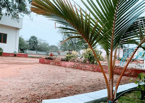 Farmhouse 4552 in Chandrayangutta, Hyderabad | Check Photos, Price ...