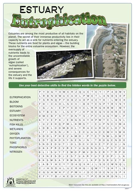 Fishy Fun Sheet: Estuary Eutrophication - Word Search • Department of ...