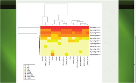 Image result for Python Heatmap RNA-Seq