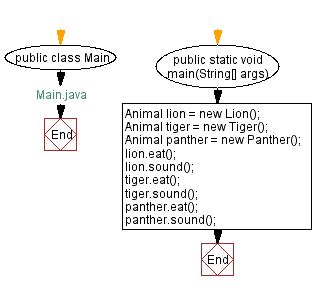 Image result for Java Polymorphism Animal