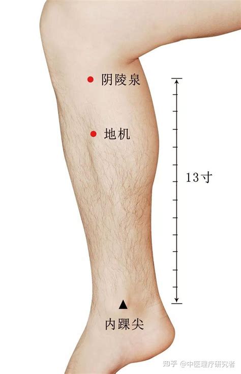 中医针灸如何治疗膝关节病-百度经验