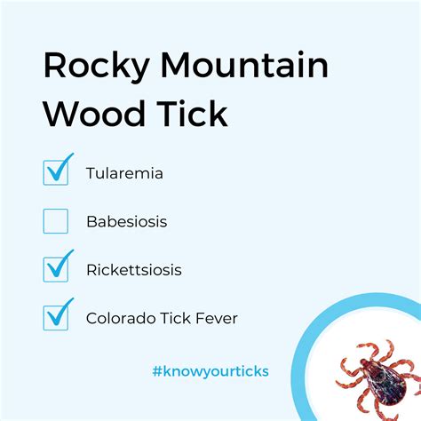Identifying Tick Bites | IGeneX | Tick Talk | Types of ticks, Wood tick, Ticks