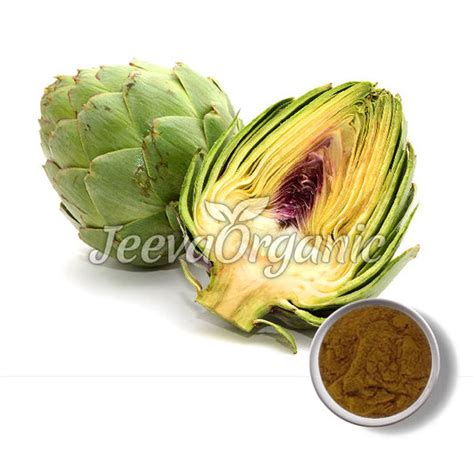 Bulk Herbal Extracts Supplier – Page 3