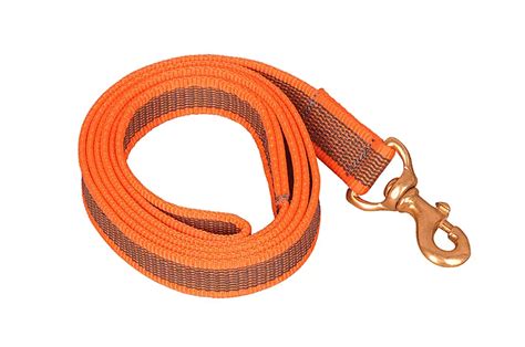 Empower Dog: In-Person Training, Online Courses & Premium Pet Products