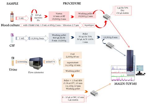 Application and Perspectives of MALDI–TOF Mass Spectrometry in Clinical ...