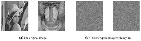 On a Symmetric Image Encryption Algorithm Based on the Peculiarity of ...