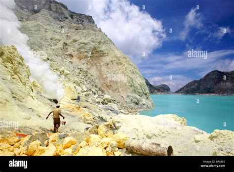 Java Island 的图像结果