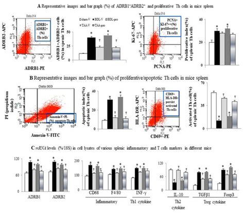 Propranolol Suppresses the T-Helper Cell Depletion-Related Immune ...