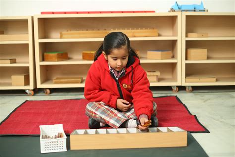 Unlocking the Montessori Advantage: BIPS - Where Students Shine & are 2 ...