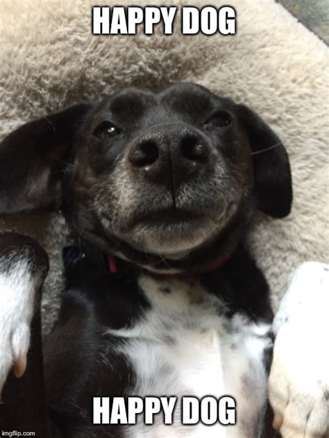 Happy doggo - Imgflip