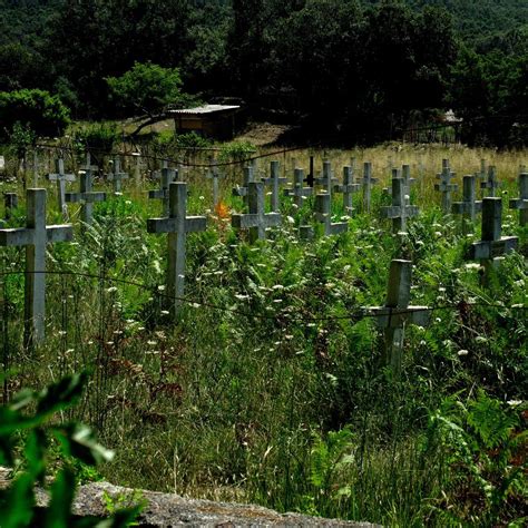 Rab Concentration Camp, Kampor - Tripadvisor