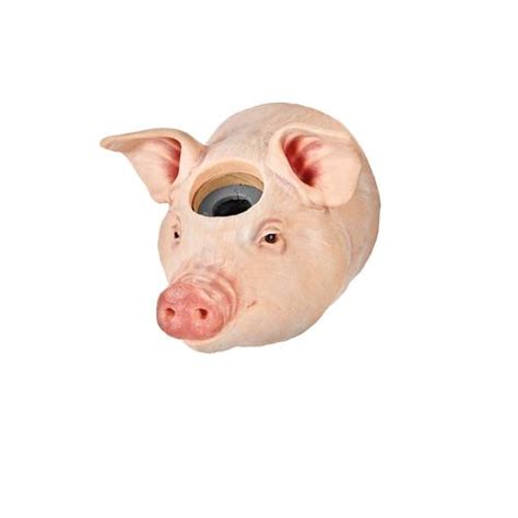 3B Scientific - veterinary head models - reusable brain canisters ...