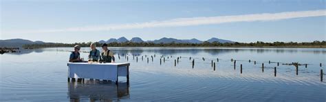 Small Group Tour to Tasmania | Tasmania Tour | Curated Experiences ...