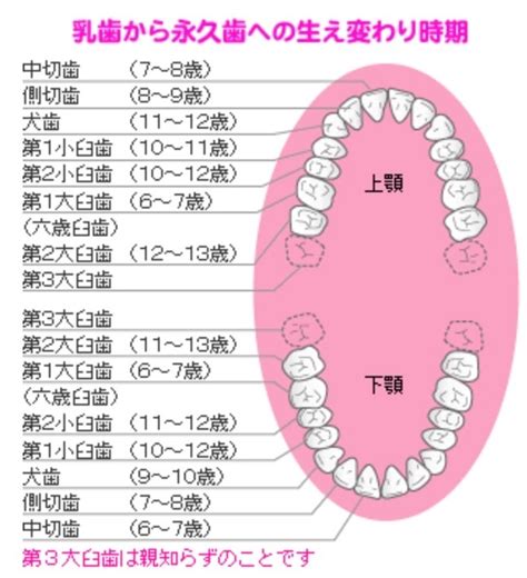 Image result for User Module Sample