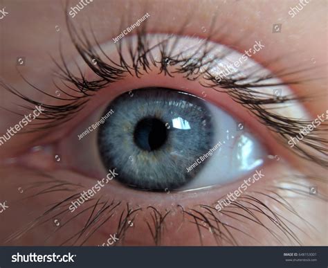 Blue Gray Eye Stock Photo 648153001 | Shutterstock