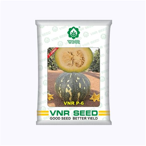 VNR P-6 Gold Pumpkin Seeds | F1 Hybrid | Buy Online at Best Price ...