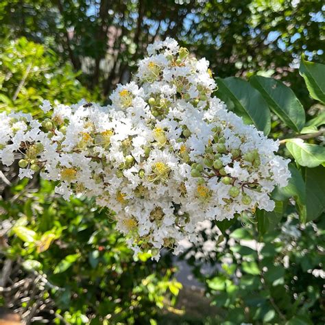 BEST WESTERN STATESVILLE INN - Updated 2026 Prices & Hotel Reviews (NC)