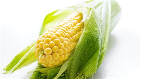 Is Soluble Corn Fiber Keto? - KetoLogic