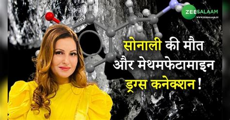 What is Methamphetamine drugs and the connection of tik tok star Sonali ...