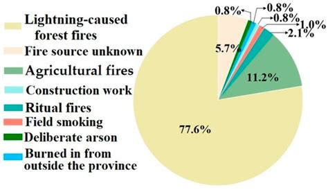 Forest Fire Patterns and Lightning-Caused Forest Fire Detection in ...