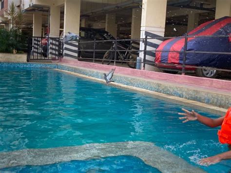 ASN Elite in Whitefield, Bangalore: Price, Brochure, Floor Plan, Reviews