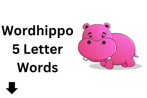 Wordhippo 5 Letter Word Everything U Need To Know