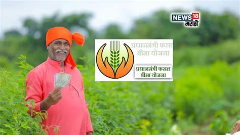 Agriculture News : पीक विम्याबाबतची मोठी अपडेट! या चूक कराल तर अर्ज ...