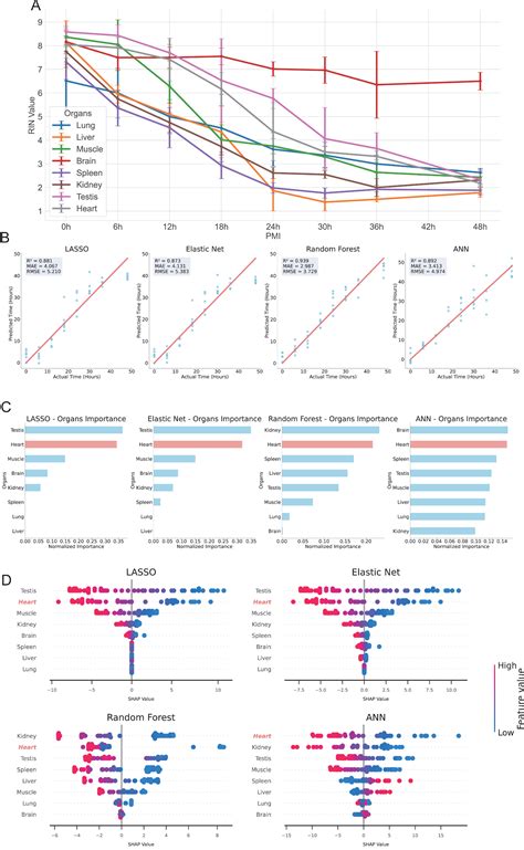 Endogenous and Exogenous Small RNA Signatures as Novel Tools for ...