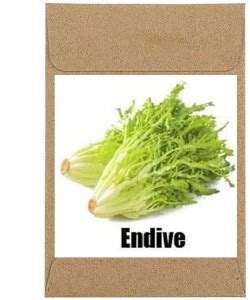 CYBEXIS Guarenteed Germination Endive Seeds-250 Seeds Seed Price in ...