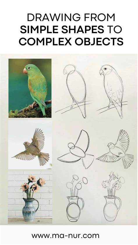 Image result for How to Draw Simple Objects