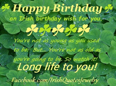 Best Irish Birthday Quotes at Ruby Osborne blog