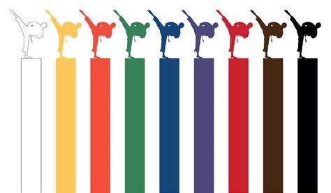 Japanese Karate Belt Levels